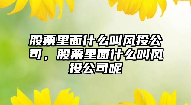 股票里面什么叫風(fēng)投公司，股票里面什么叫風(fēng)投公司呢