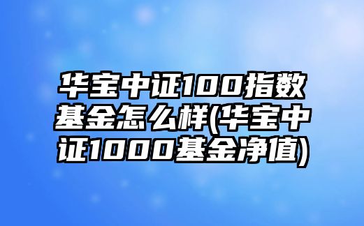 華寶中證100指數基金怎么樣(華寶中證1000基金凈值)