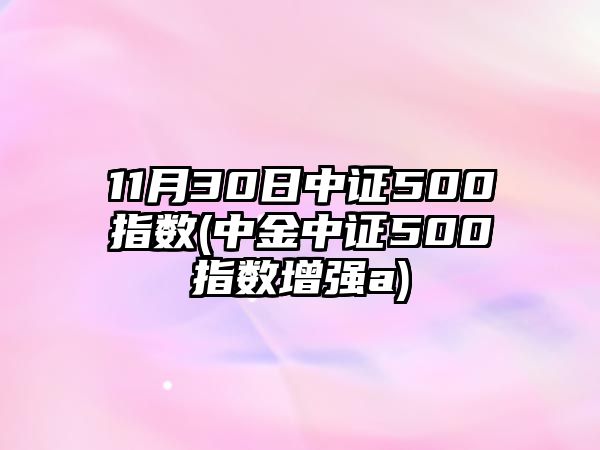 11月30日中證500指數(中金中證500指數增強a)