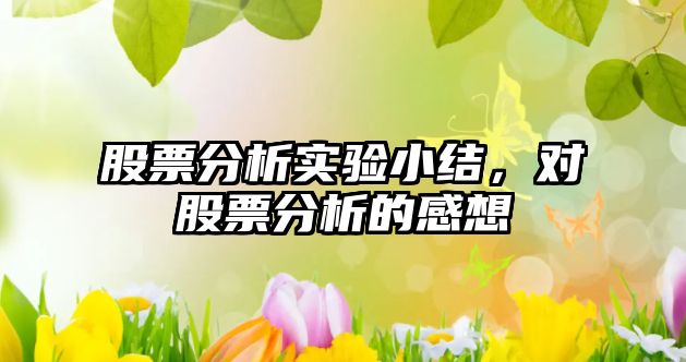 股票分析實(shí)驗小結，對股票分析的感想