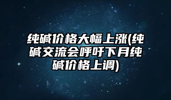 純堿價(jià)格大幅上漲(純堿交流會(huì )呼吁下月純堿價(jià)格上調)