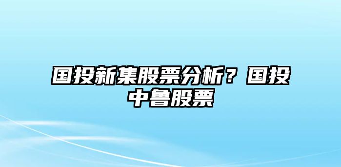 國投新集股票分析？國投中魯股票