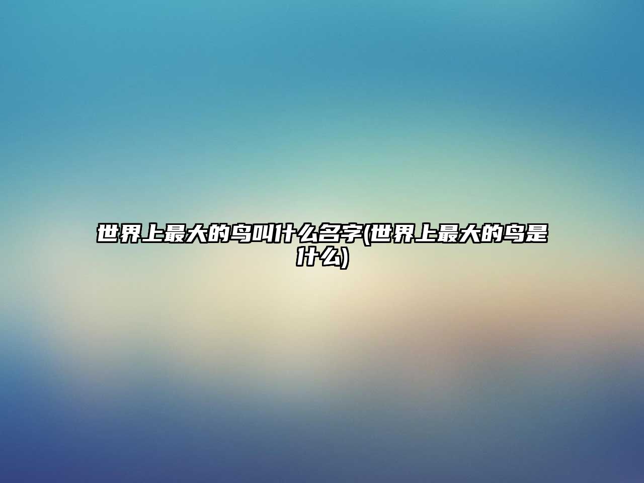 世界上最大的鳥(niǎo)叫什么名字(世界上最大的鳥(niǎo)是什么)