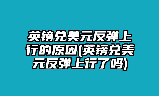 英鎊兌美元反彈上行的原因(英鎊兌美元反彈上行了嗎)