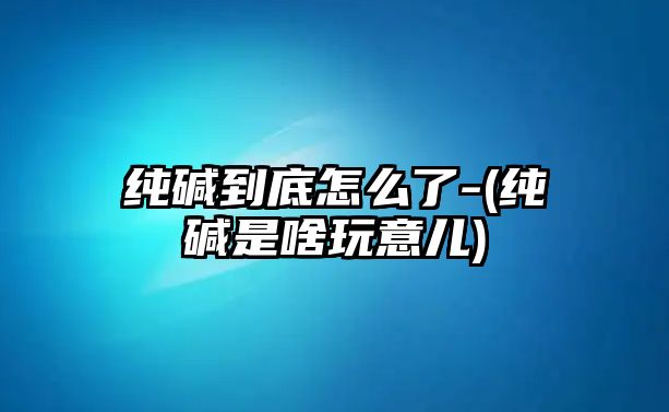 純堿到底怎么了-(純堿是啥玩意兒)