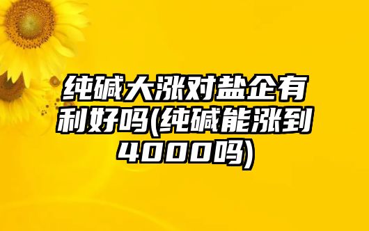 純堿大漲對鹽企有利好嗎(純堿能漲到4000嗎)