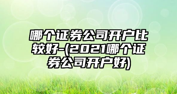 哪個(gè)證券公司開(kāi)戶(hù)比較好-(2021哪個(gè)證券公司開(kāi)戶(hù)好)