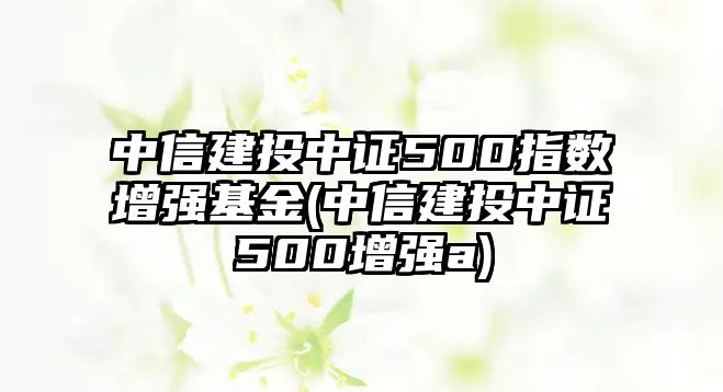 中信建投中證500指數增強基金(中信建投中證500增強a)