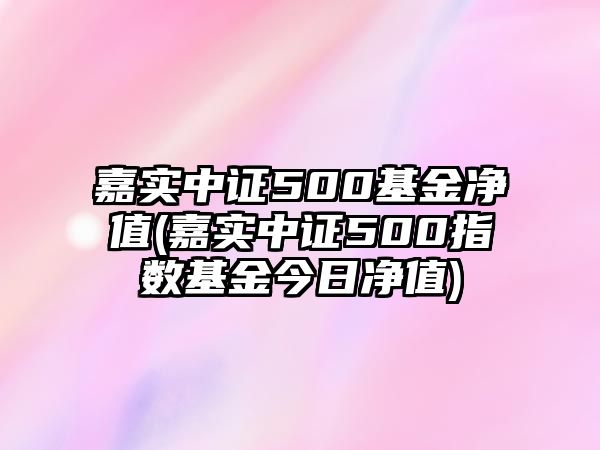 嘉實(shí)中證500基金凈值(嘉實(shí)中證500指數基金今日凈值)