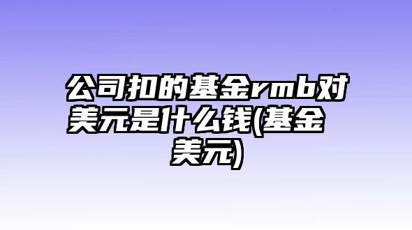 公司扣的基金rmb對美元是什么錢(qián)(基金 美元)