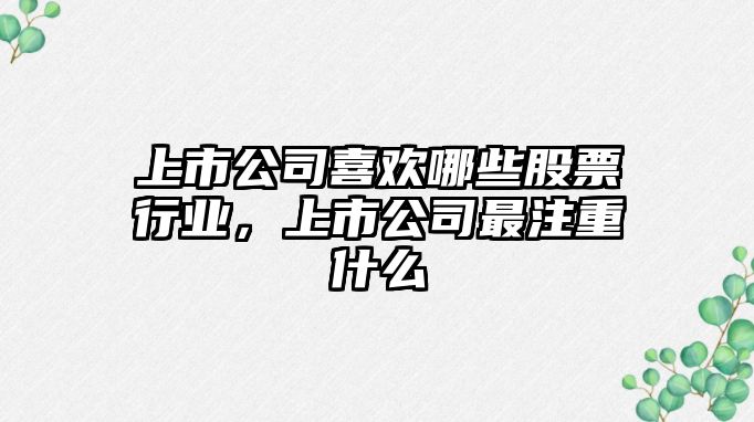 上市公司喜歡哪些股票行業(yè)，上市公司最注重什么