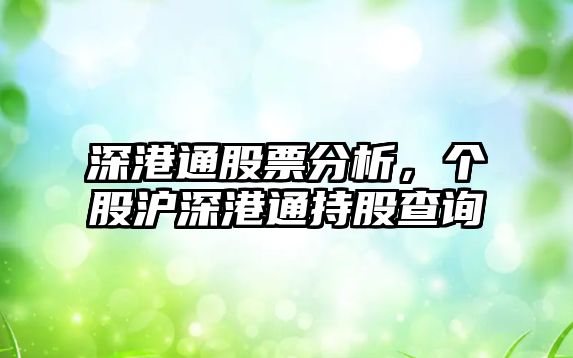 深港通股票分析，個(gè)股滬深港通持股查詢(xún)