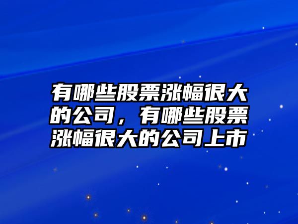 有哪些股票漲幅很大的公司，有哪些股票漲幅很大的公司上市