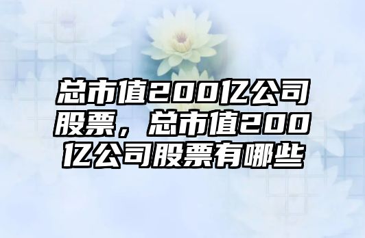 總市值200億公司股票，總市值200億公司股票有哪些