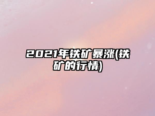 2021年鐵礦暴漲(鐵礦的行情)