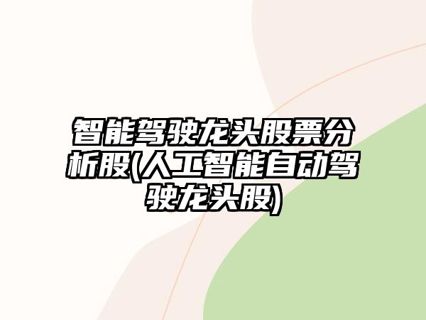 智能駕駛龍頭股票分析股(人工智能自動(dòng)駕駛龍頭股)