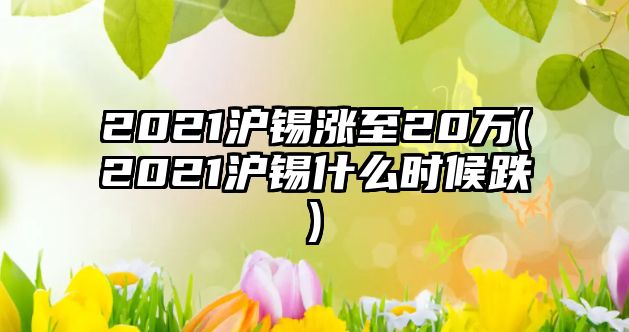 2021滬錫漲至20萬(wàn)(2021滬錫什么時(shí)候跌)