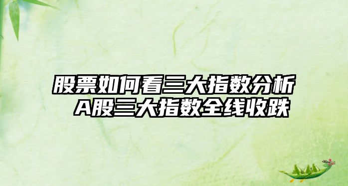 股票如何看三大指數分析 A股三大指數全線(xiàn)收跌