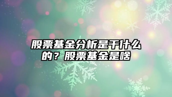 股票基金分析是干什么的？股票基金是啥