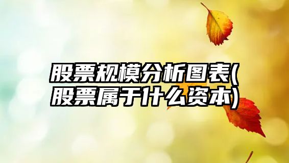 股票規模分析圖表(股票屬于什么資本)