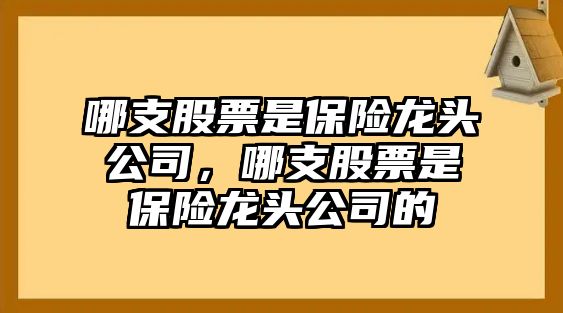 哪支股票是保險龍頭公司，哪支股票是保險龍頭公司的