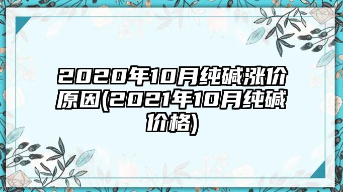 2020年10月純堿漲價(jià)原因(2021年10月純堿價(jià)格)