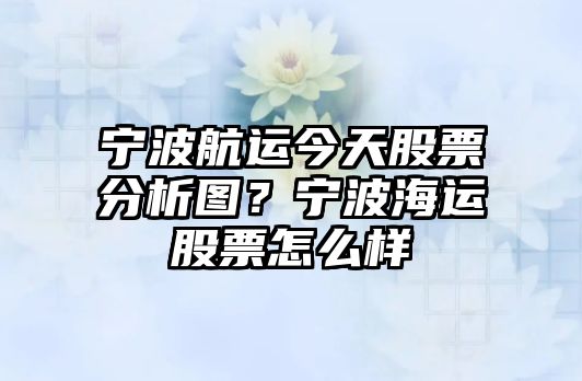 寧波航運今天股票分析圖？寧波海運股票怎么樣