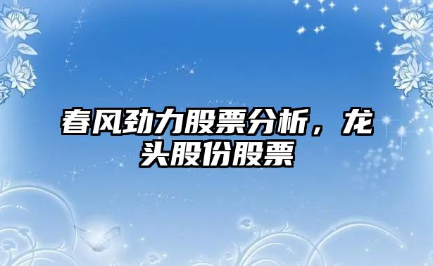 春風(fēng)勁力股票分析，龍頭股份股票