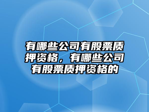 有哪些公司有股票質(zhì)押資格，有哪些公司有股票質(zhì)押資格的