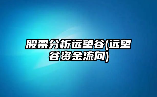 股票分析遠望谷(遠望谷資金流向)