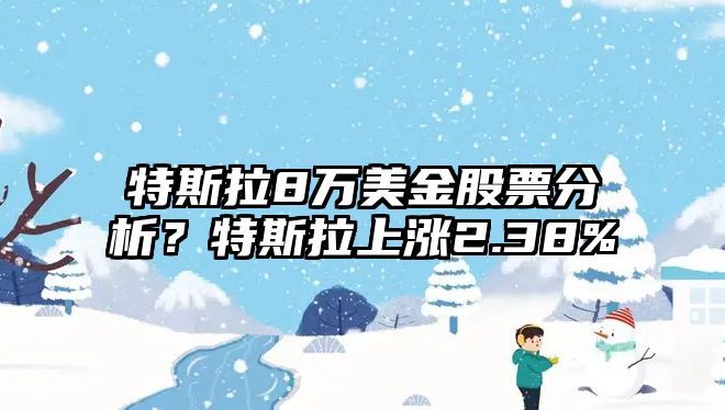 特斯拉8萬(wàn)美金股票分析？特斯拉上漲2.38%