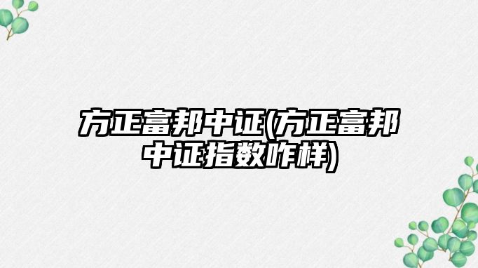 方正富邦中證(方正富邦中證指數咋樣)