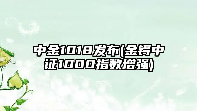 中金1018發(fā)布(金锝中證1000指數增強)