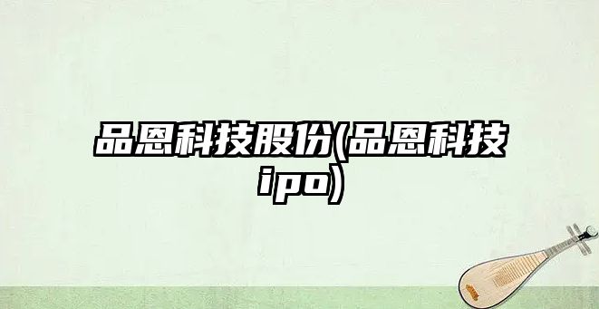 品恩科技股份(品恩科技ipo)