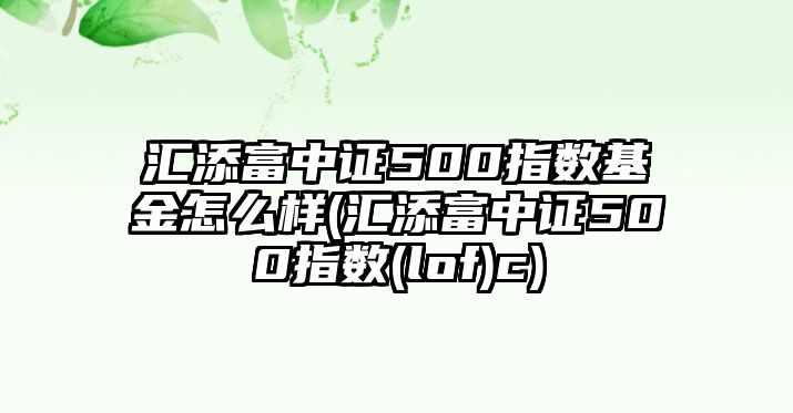 匯添富中證500指數基金怎么樣(匯添富中證500指數(lof)c)