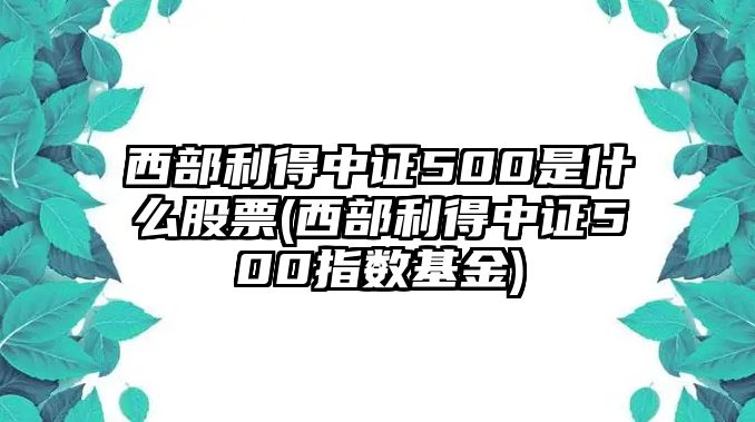 西部利得中證500是什么股票(西部利得中證500指數基金)