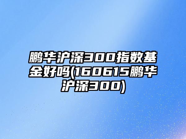 鵬華滬深300指數基金好嗎(160615鵬華滬深300)