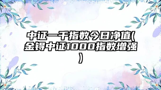 中證一千指數今日凈值(金锝中證1000指數增強)