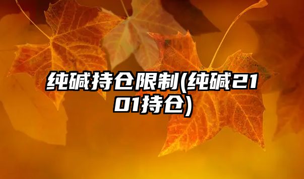 純堿持倉限制(純堿2101持倉)