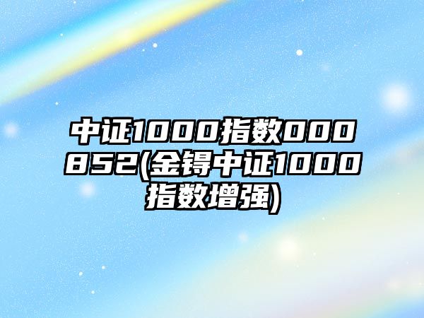 中證1000指數000852(金锝中證1000指數增強)