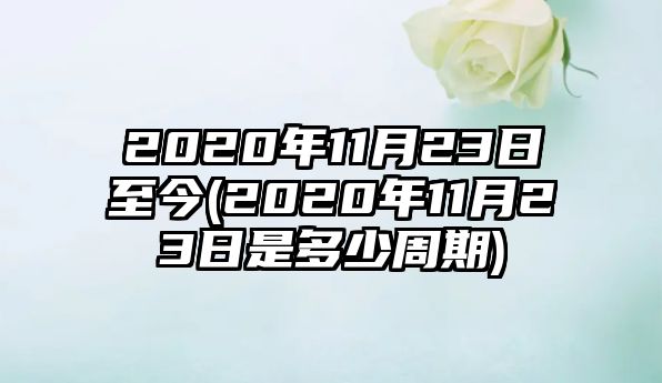 2020年11月23日至今(2020年11月23日是多少周期)