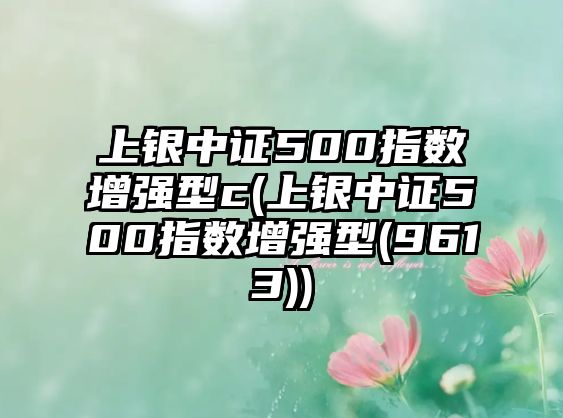 上銀中證500指數增強型c(上銀中證500指數增強型(9613))