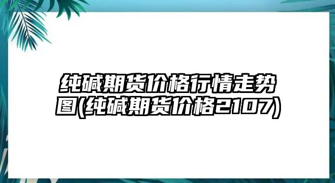 純堿期貨價(jià)格行情走勢圖(純堿期貨價(jià)格2107)