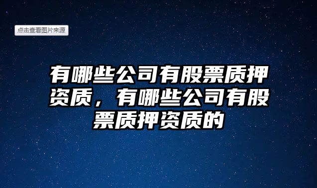 有哪些公司有股票質(zhì)押資質(zhì)，有哪些公司有股票質(zhì)押資質(zhì)的