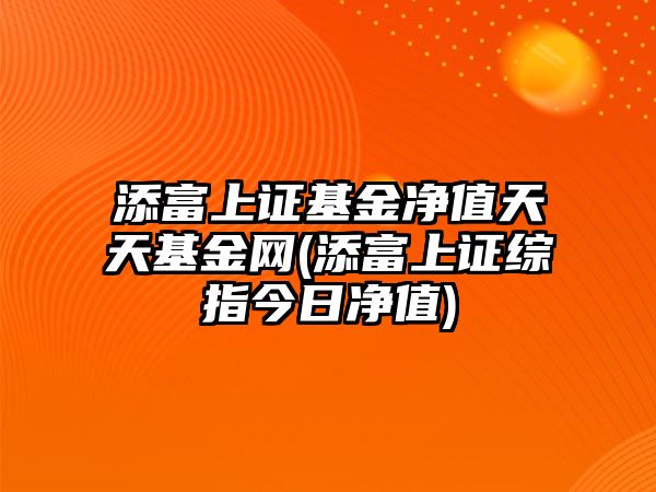 添富上證基金凈值天天基金網(wǎng)(添富上證綜指今日凈值)