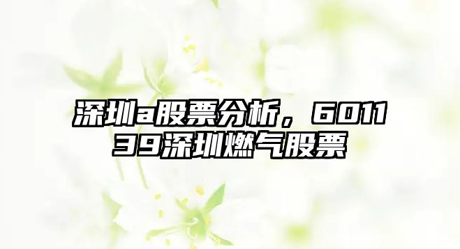 深圳a股票分析，601139深圳燃氣股票