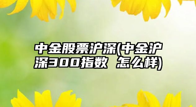 中金股票滬深(中金滬深300指數 怎么樣)