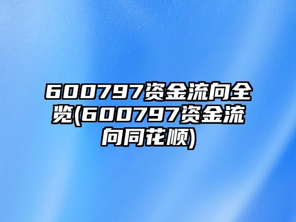 600797資金流向全覽(600797資金流向同花順)