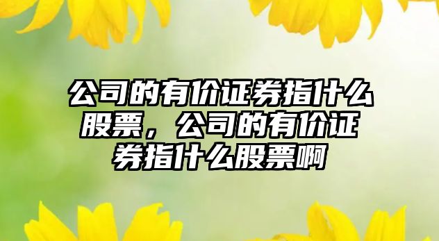 公司的有價(jià)證券指什么股票，公司的有價(jià)證券指什么股票啊