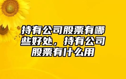 持有公司股票有哪些好處，持有公司股票有什么用